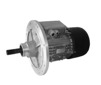 Электродвигатель МАL 112 МВ-6В F312 (3 кВт, 930 об/мин) 2 тн